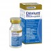 DEXIUM INJETAVEL 10ML