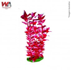 24790 - PLANTA PLASTICA BACOPA MED C/6