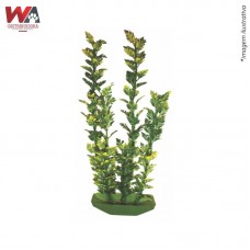 24795 - PLANTA PLASTICA SALSA GDE C/6