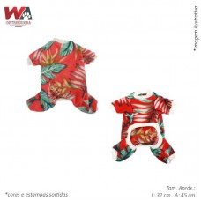 24671 - MACACAO SOFT CAES N.05