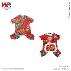 24670 - MACACAO SOFT CAES N.04