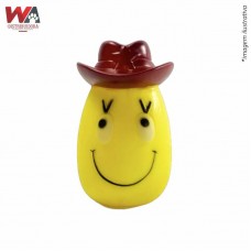 31549 - BRINQ VINIL ABACAXI COWBOY