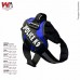 PEITORAL K-9 PP MAIS DOG AZUL