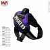 PEITORAL K-9 PP MAIS DOG LILAS