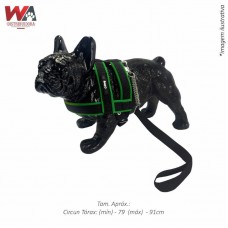 32909 - GUIA C/PEIT LUXO GD PORTE M VERDE