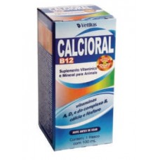 621 - CALCIORAL B12 100 ML