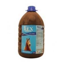 211958 - SHAMPOO REX GALLOPER 5 LITROS