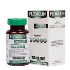 19061 - FLOXICLIN 10% 10ML